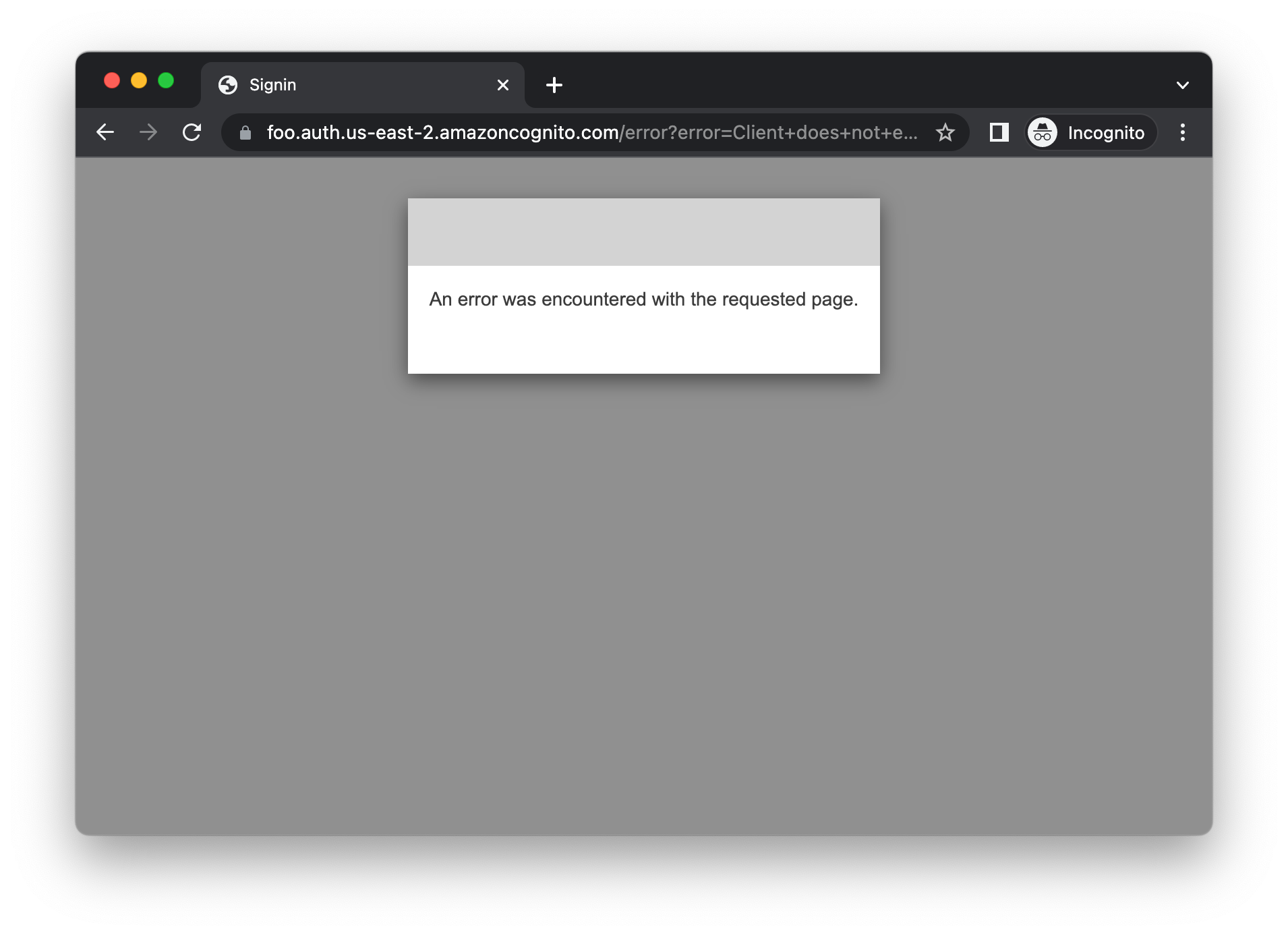 Figure 5. AWS Cognito Error Screen