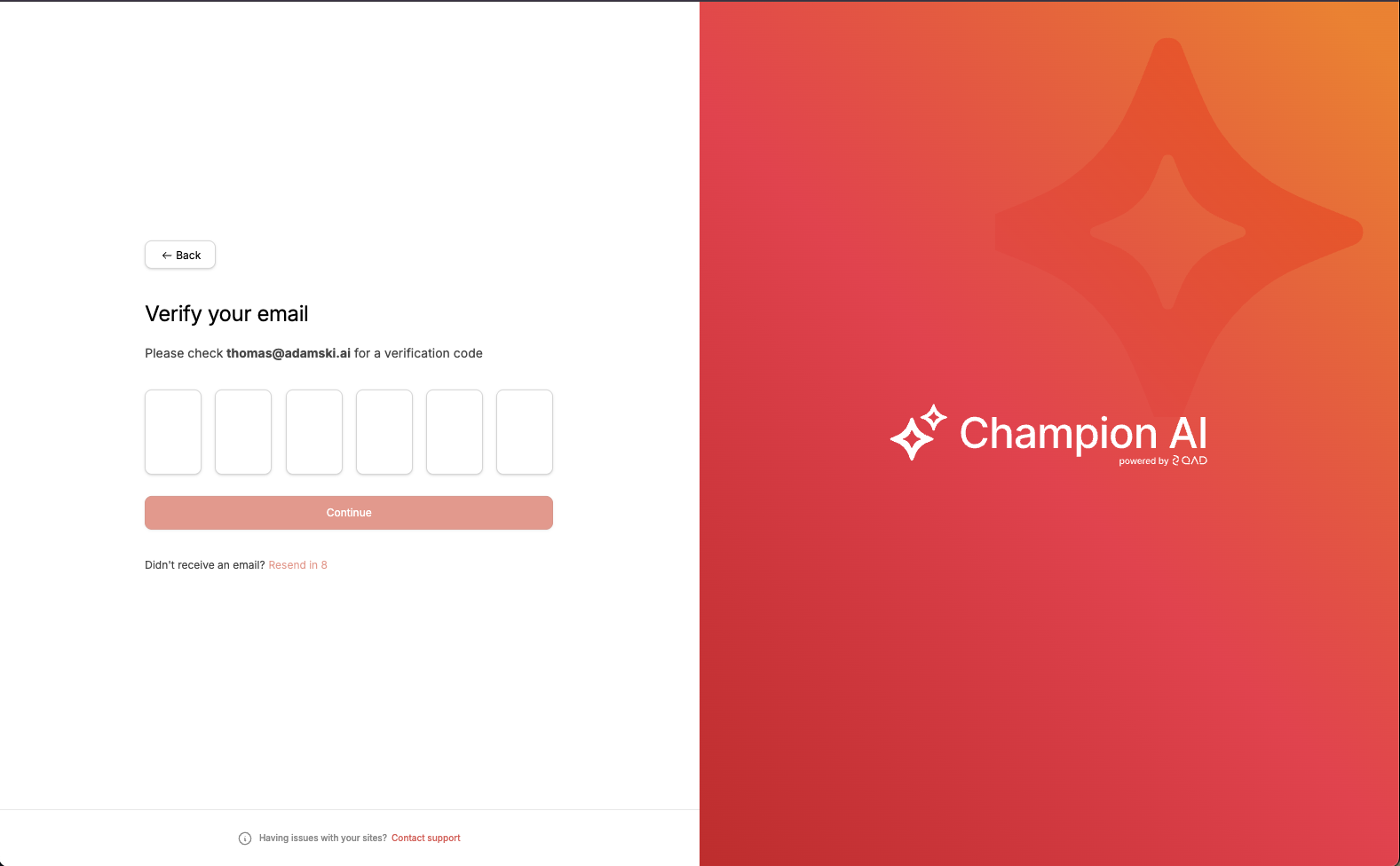 Verification code entry screen