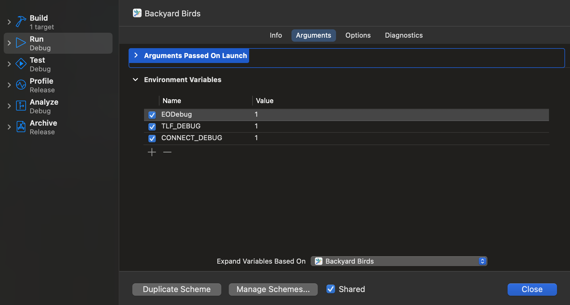 Environment variables for debug version