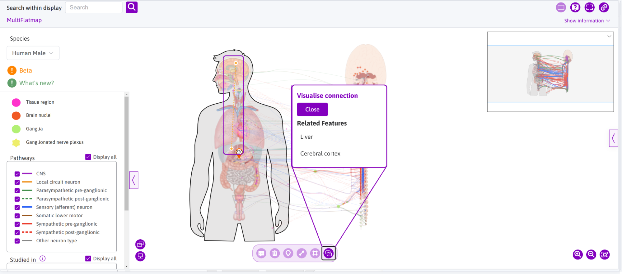 **Figure 8:** Connectivity drawn line feature can pop up the dialog to check related features.