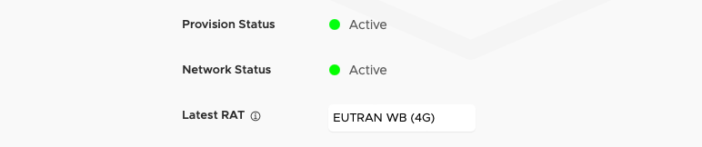 Endpoint view screen showing Network Status and current Radio Access Technology (3G, 4G etc)