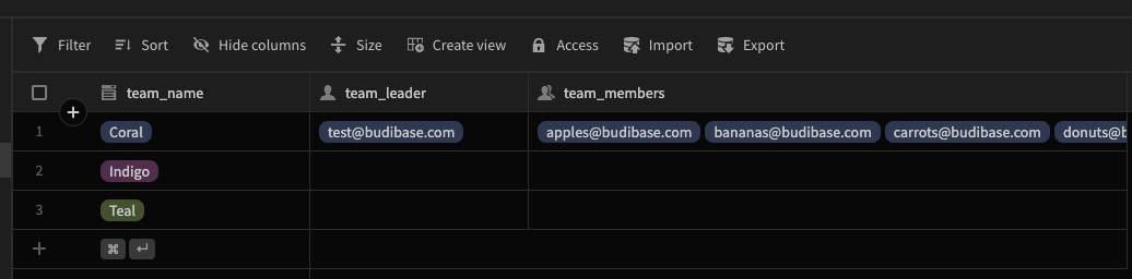 Note the slight variation in icons between Single User (team_leader) and Mutli User (team_members) columns