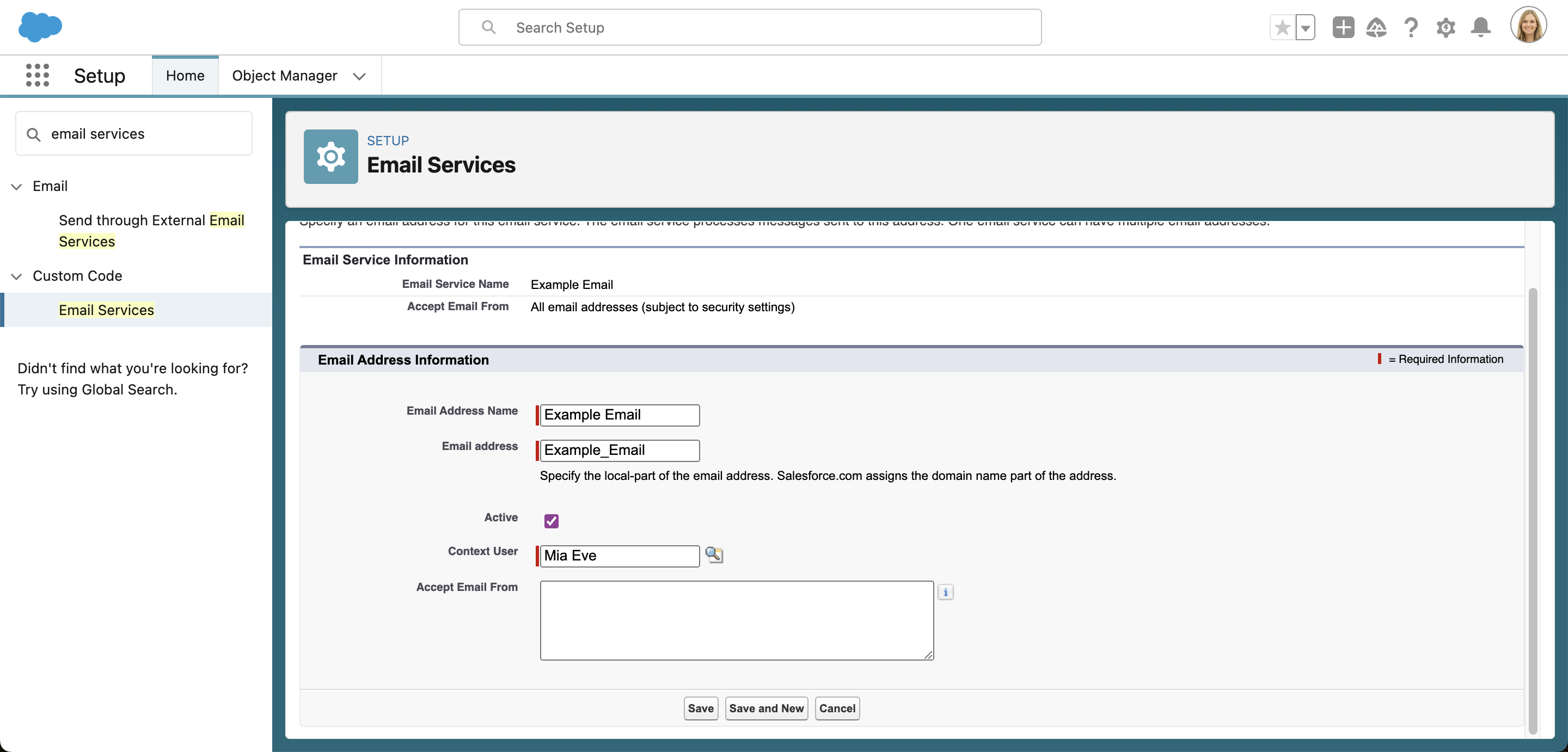 Setting up an email service in Salesforce Setup