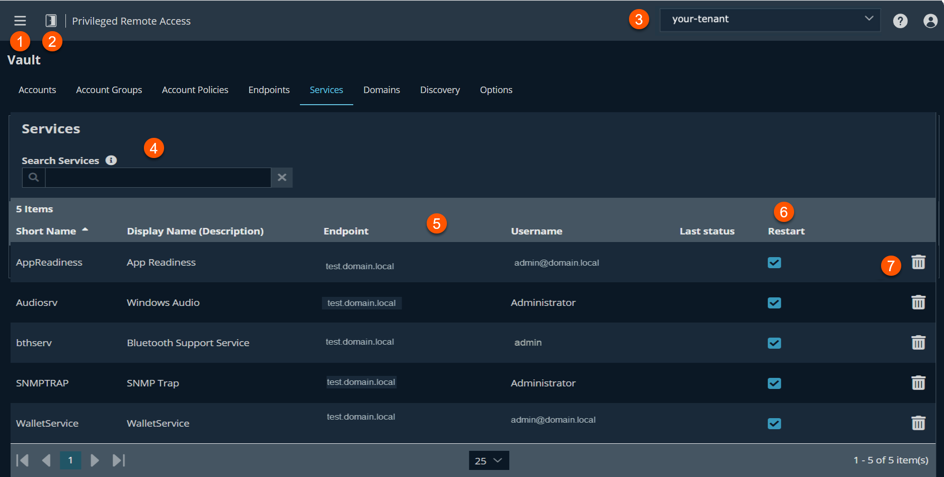 An image of a Privileged Remote Access interface showing the Services tab. The interface includes navigation options such as Accounts, Account Groups, Account Policies, Endpoints, Services, Domains, Discovery, and Options.