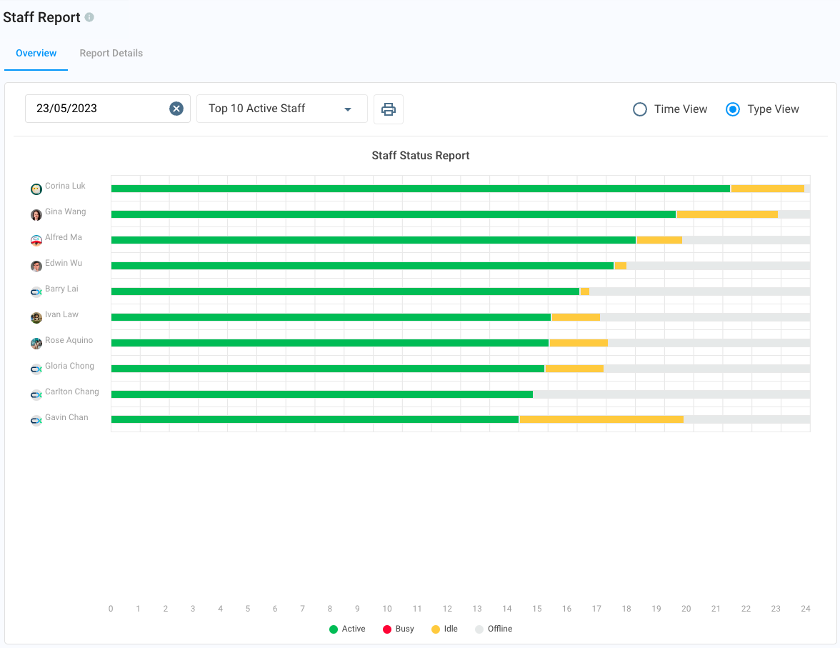 Staff Report Overview (Type View)