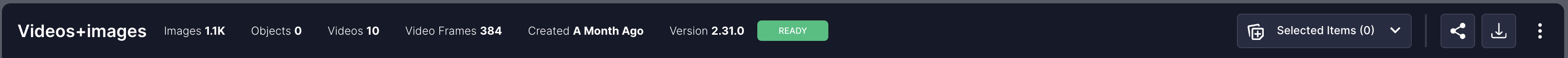 Dataset Header