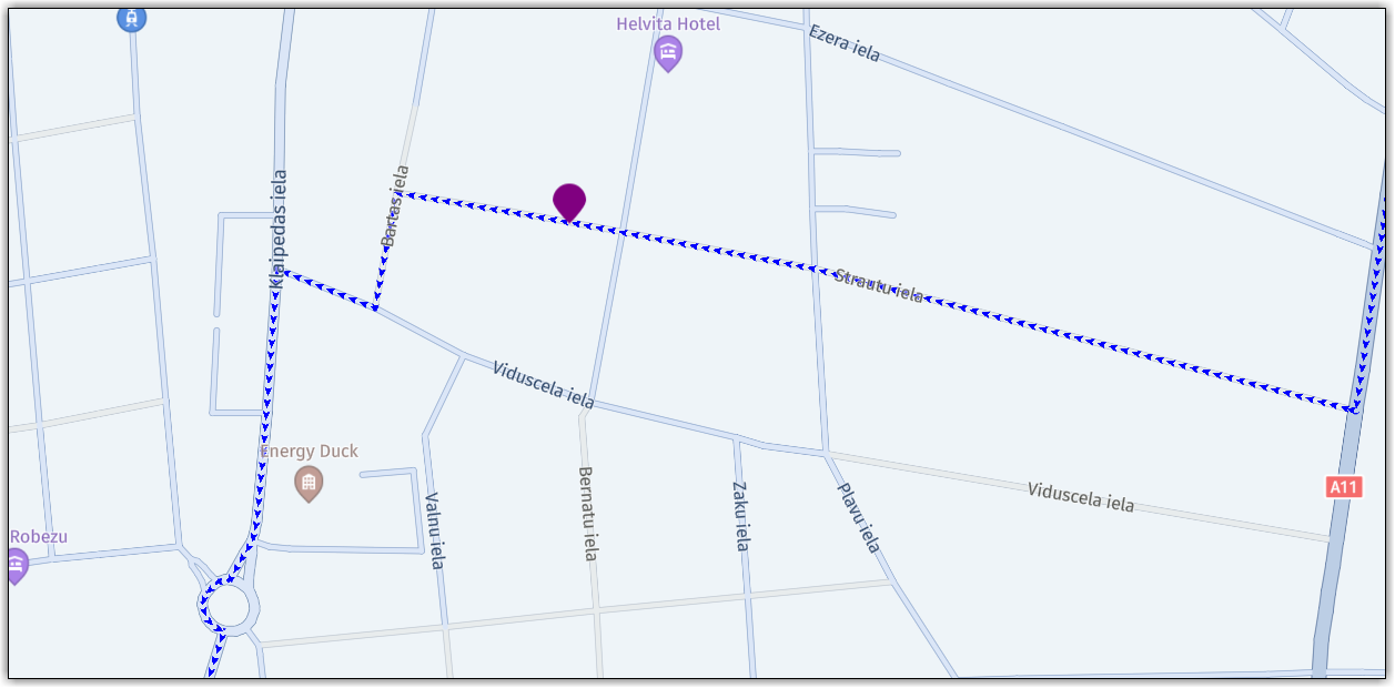 The map after adding a route line with arrows