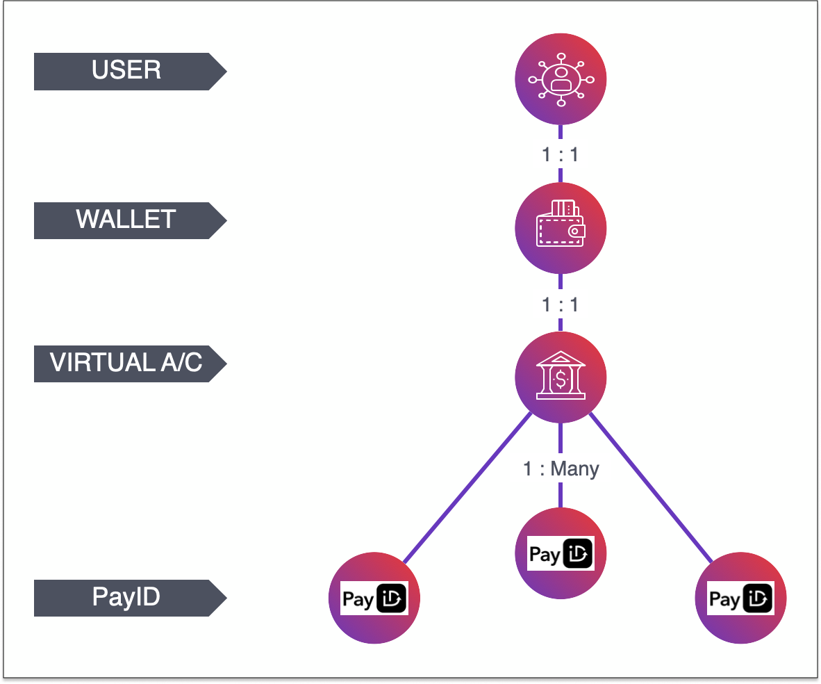 Structural relationship from user to PayID