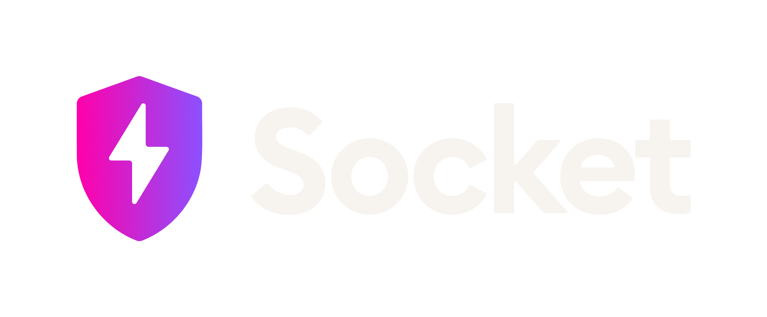 Socket