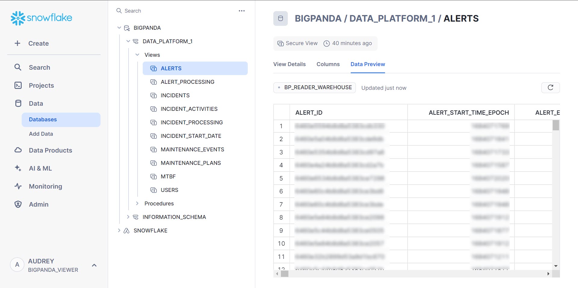 Data Preview