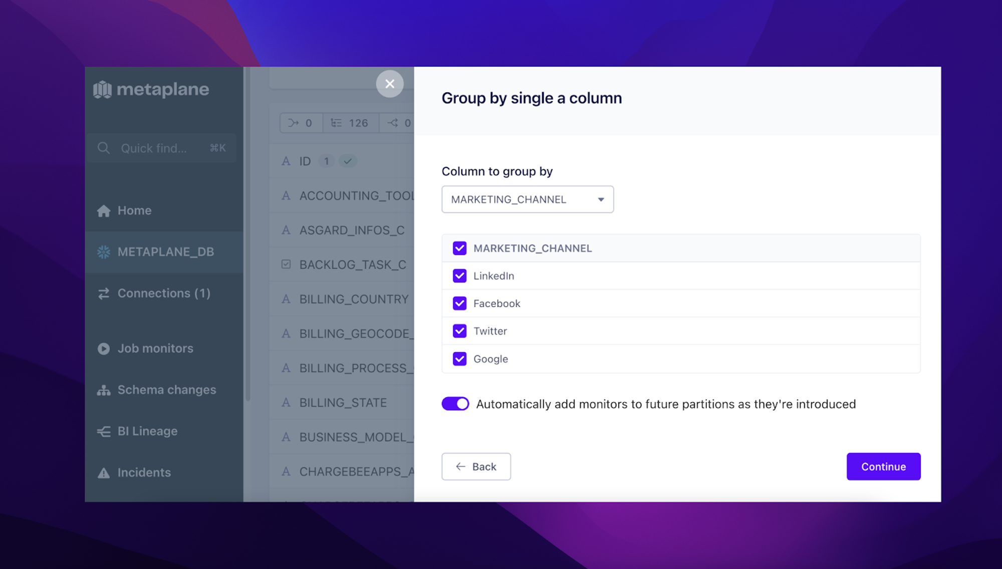 Metaplane UI for grouping partition tests by a single column