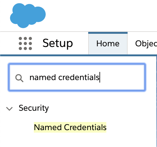 Search for "Named Credentials"