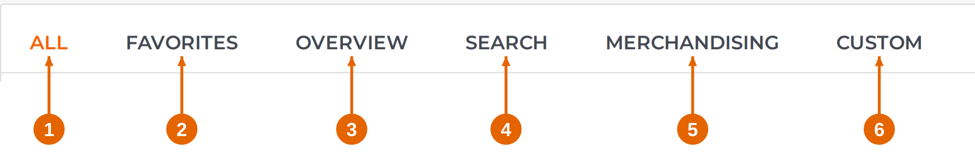 Figure 2. The six report tabs appear in this order.