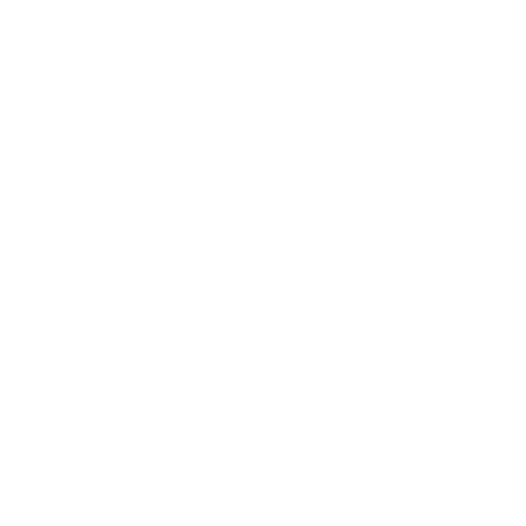 Shuttle