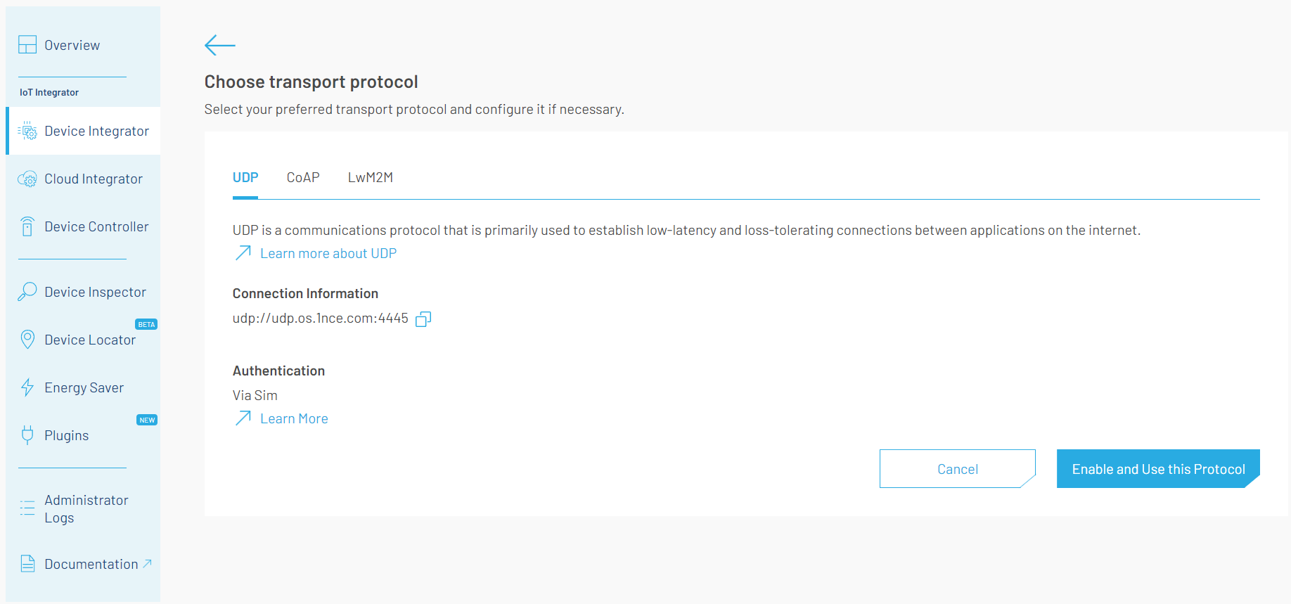 UDP Endpoint Details