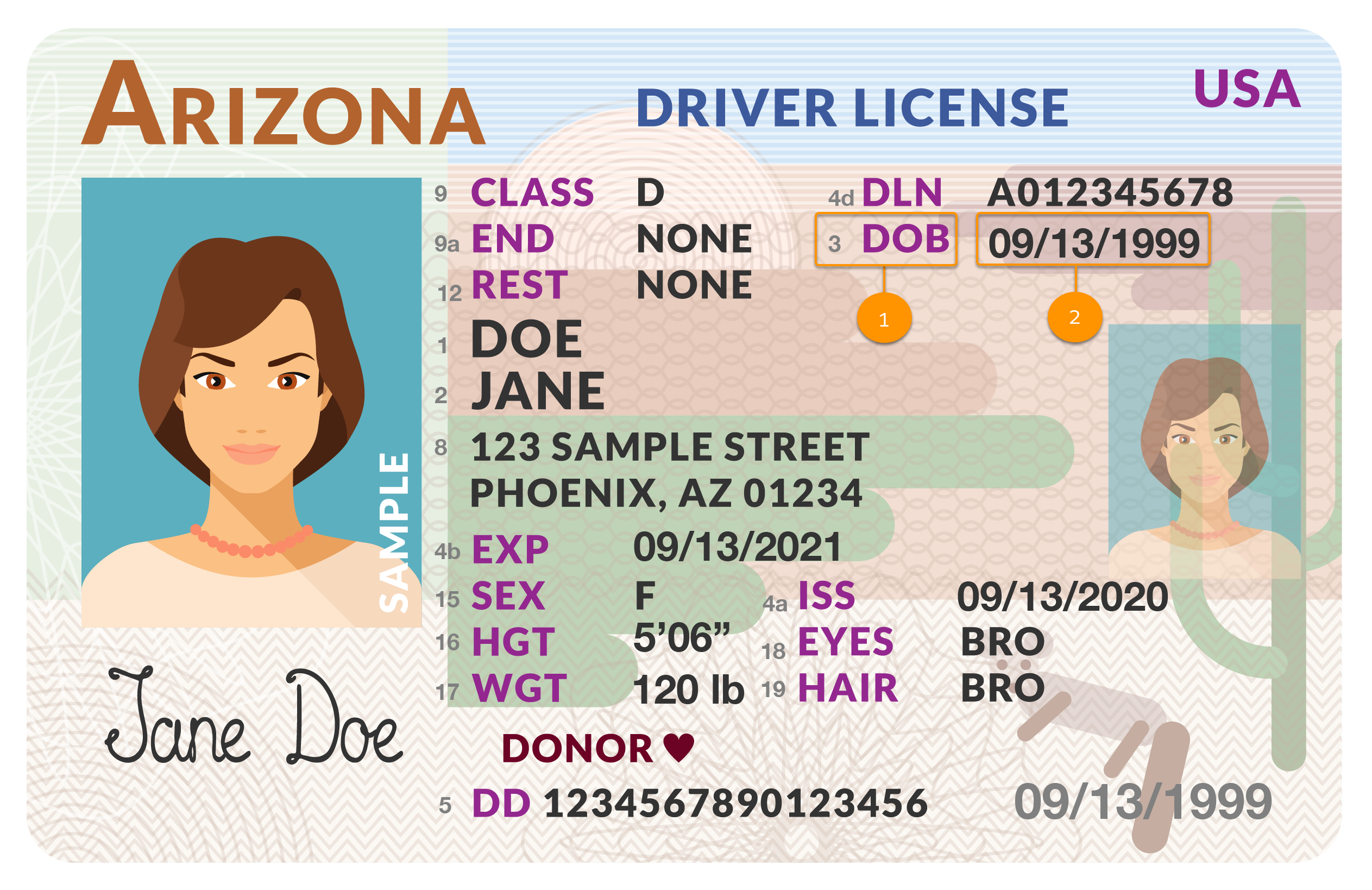 jane_doe_dl_with_callouts.png