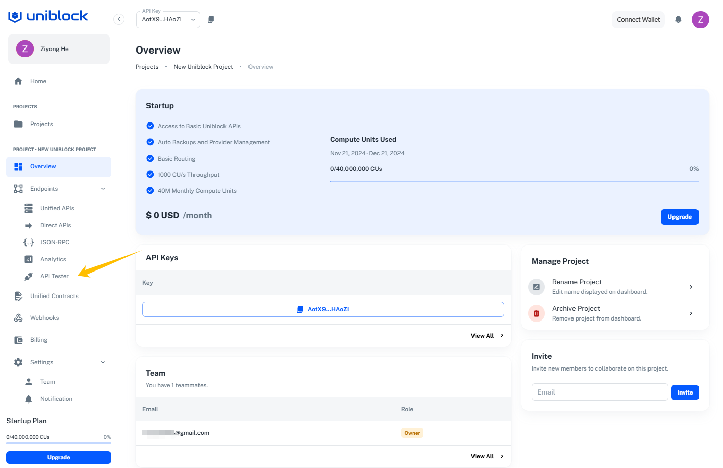 Project Overview Page -> Endpoints -> API Tester