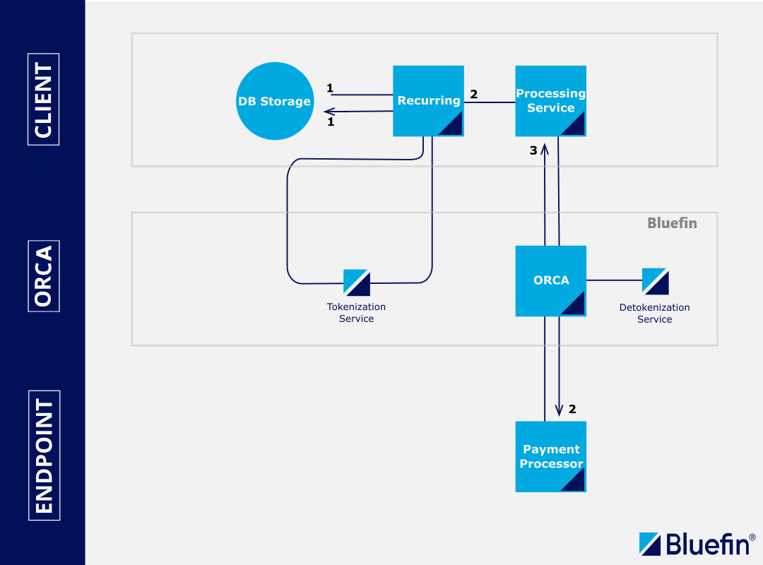 API-Based Tokenization and Detokenization Processing