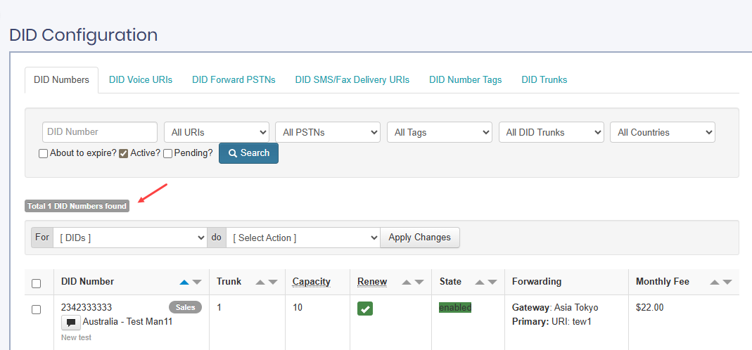 Screenshot of the filtered DID number