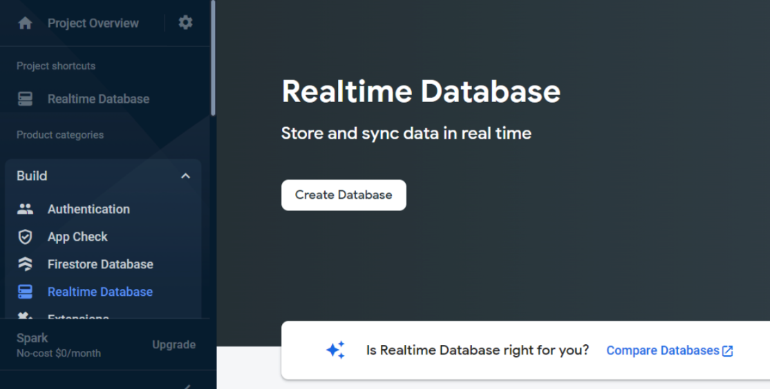 Figure 16. Project Overview showing the build options, including Realtime Database.