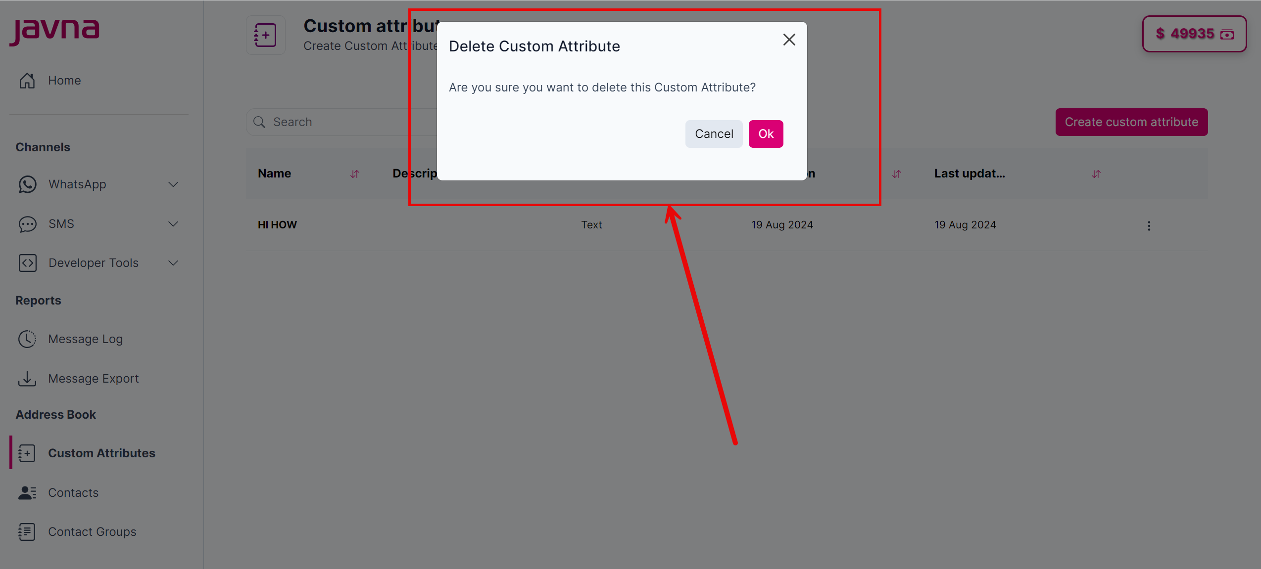 Fig 150: The "Delete Custom Attribute" pop up