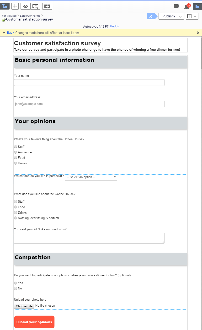 Screenshot of the published customer satisfaction survey form container where showing all configured form elements