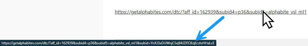 Hover the cursor over your published BuyGoods offer link, and you should see the link auto-tagged with the SubId parameter.