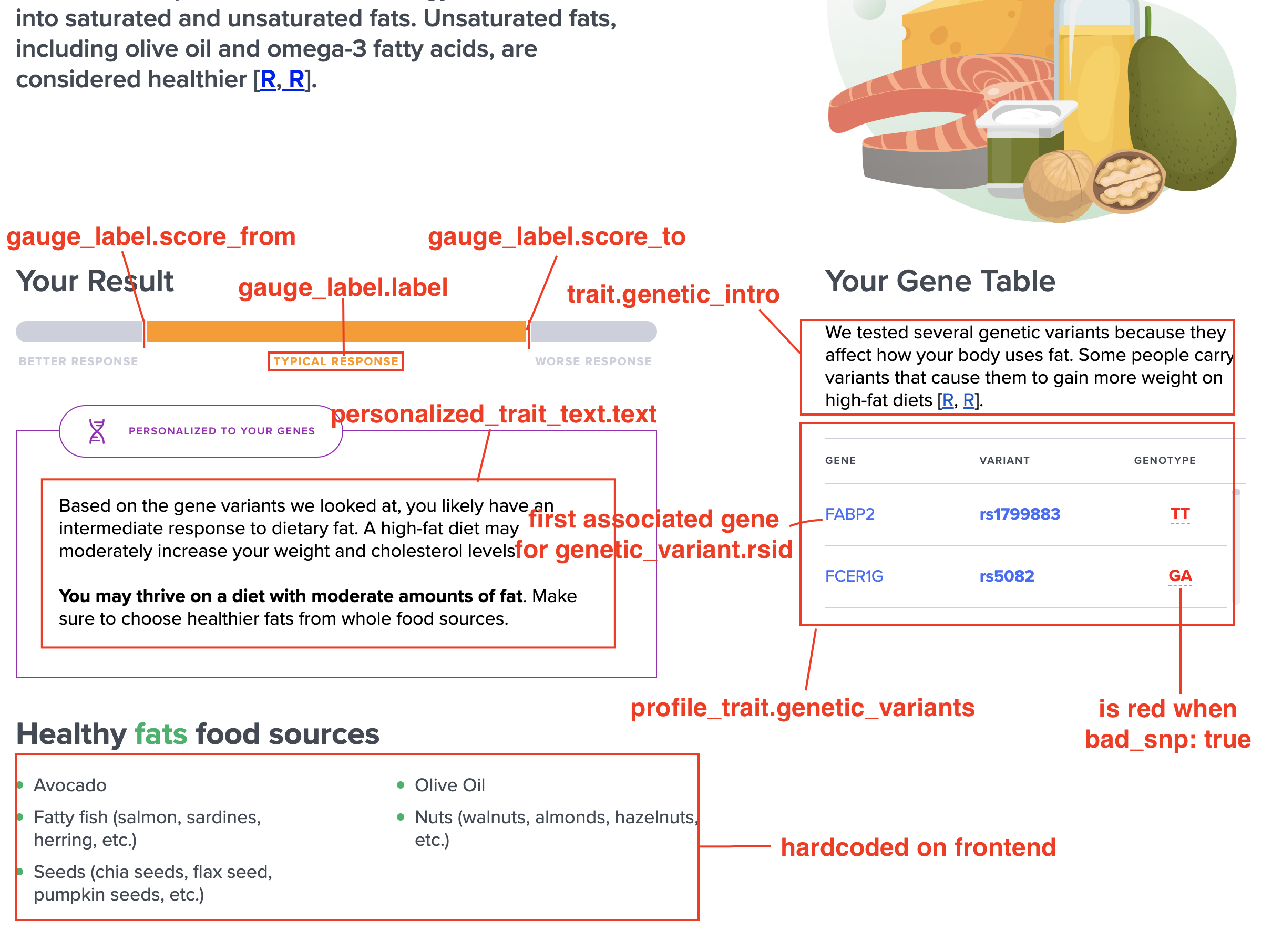 diet-details-sub-report.png
