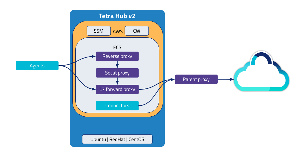 Tetra Hub example workflow