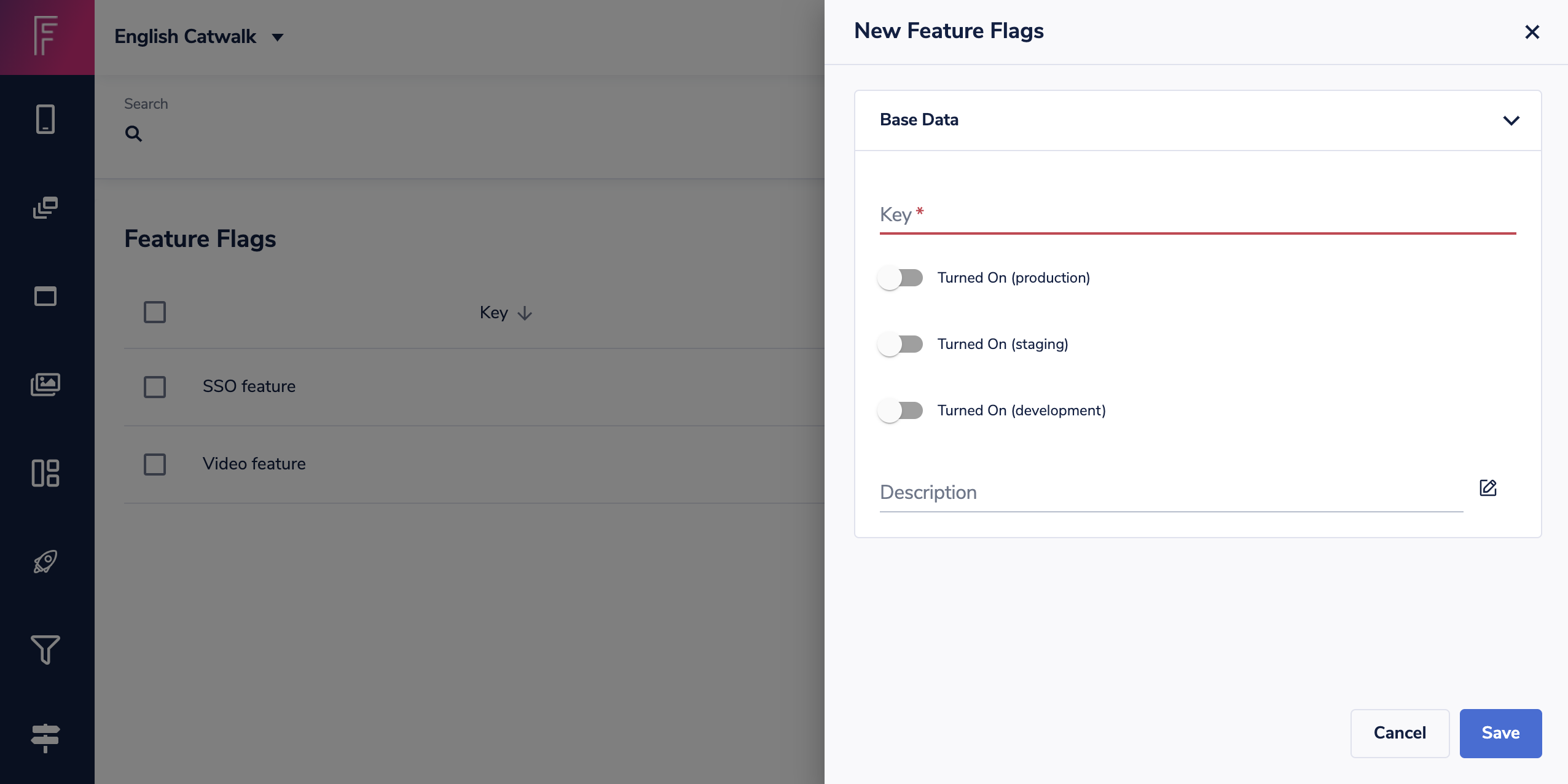 Feature flag input info.png