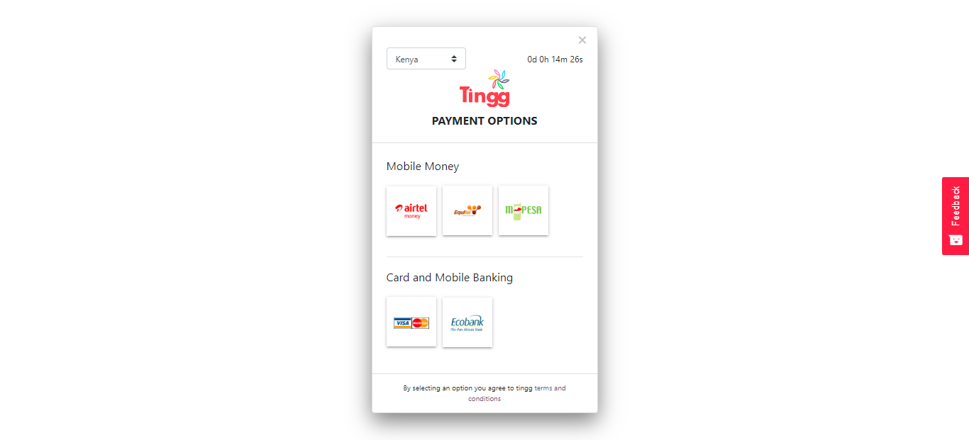 Pop-up (modal) payment options page.