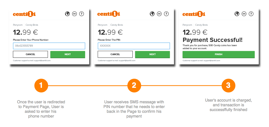 Example of Payment Page with PIN payment flow