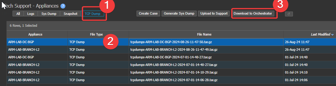 Upload to Orch steps