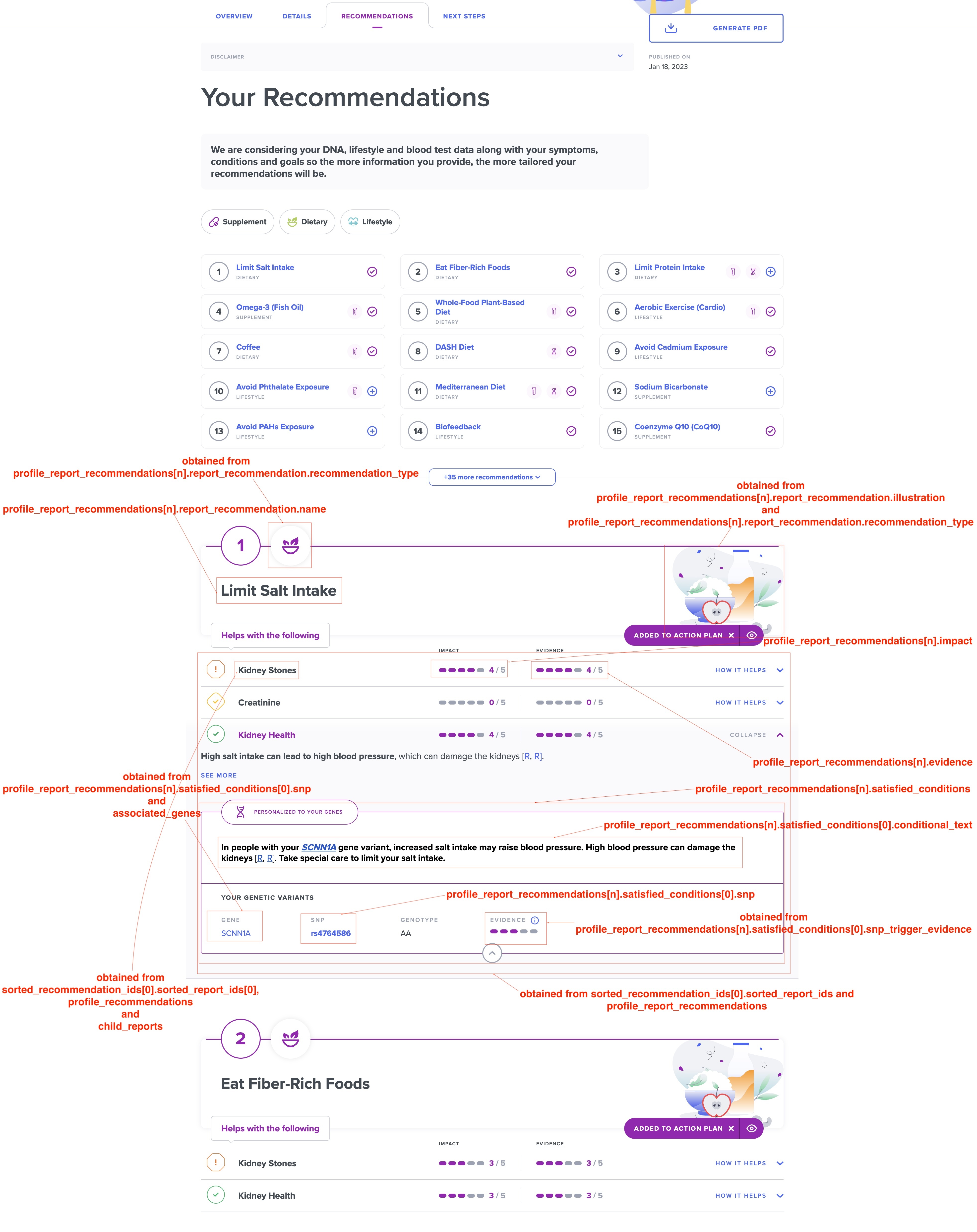 Summary report recommendations