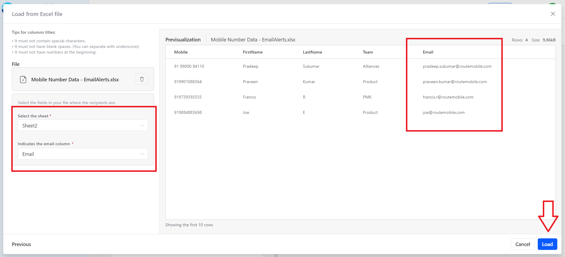 Email recipient data preview