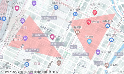 MultiPolygon geometries in the HERE Map Image API