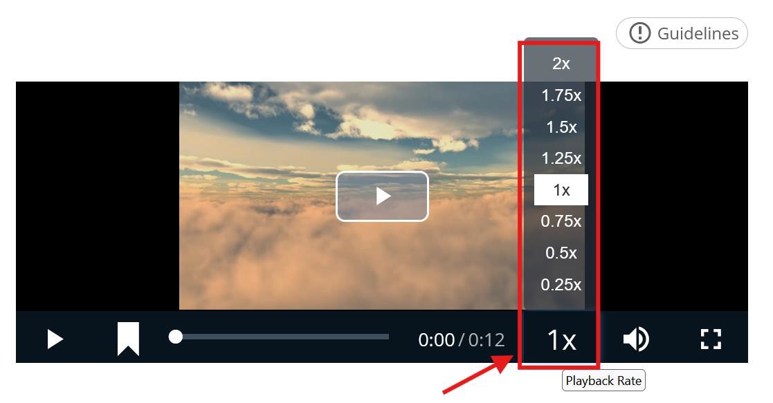 A screenshot of a video player  Description automatically generated