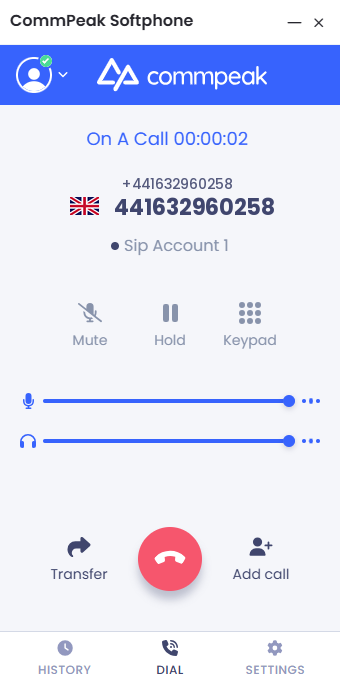 Screenshot of the active call in progress