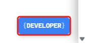 Developer Panel button in the bottom-right corner of the page