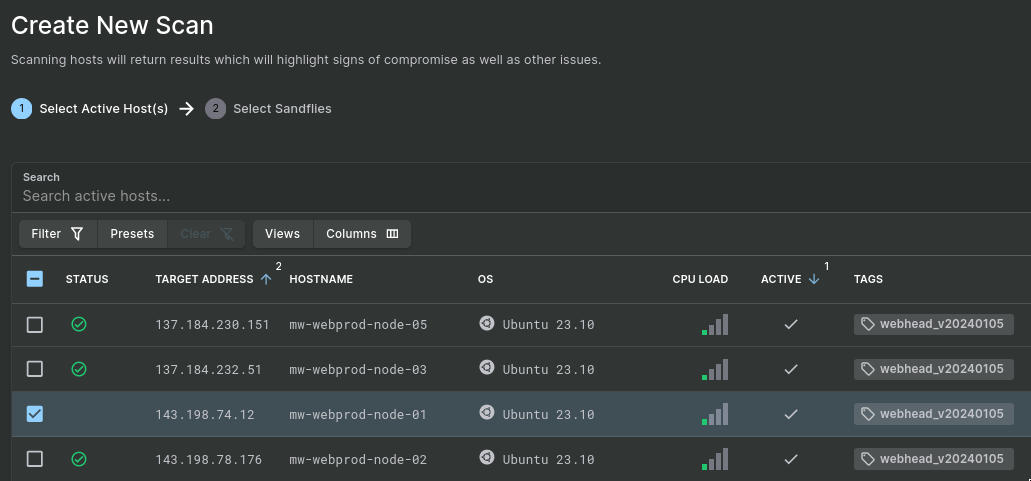 Screenshot of the manual scan dialog with one host selected.