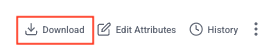 Download single file option