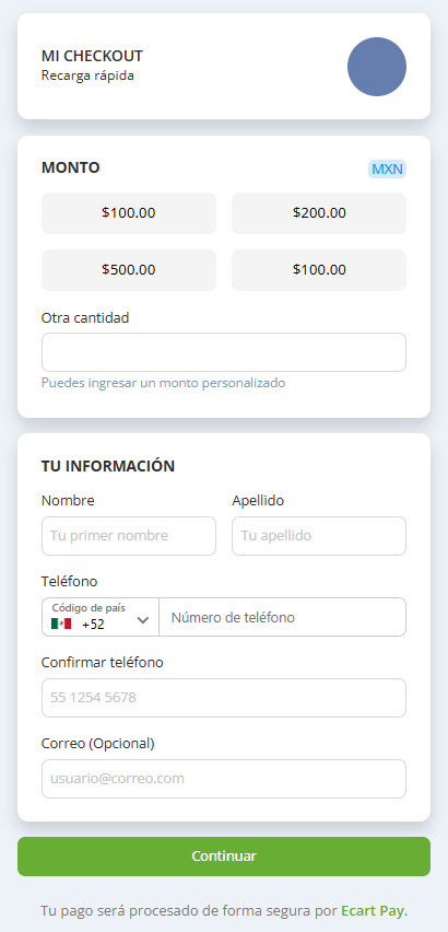 Image 1. Checkout Template