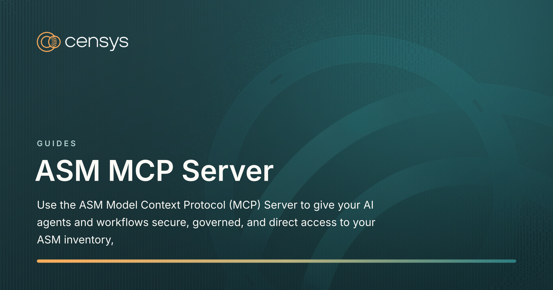 ASM MCP Server