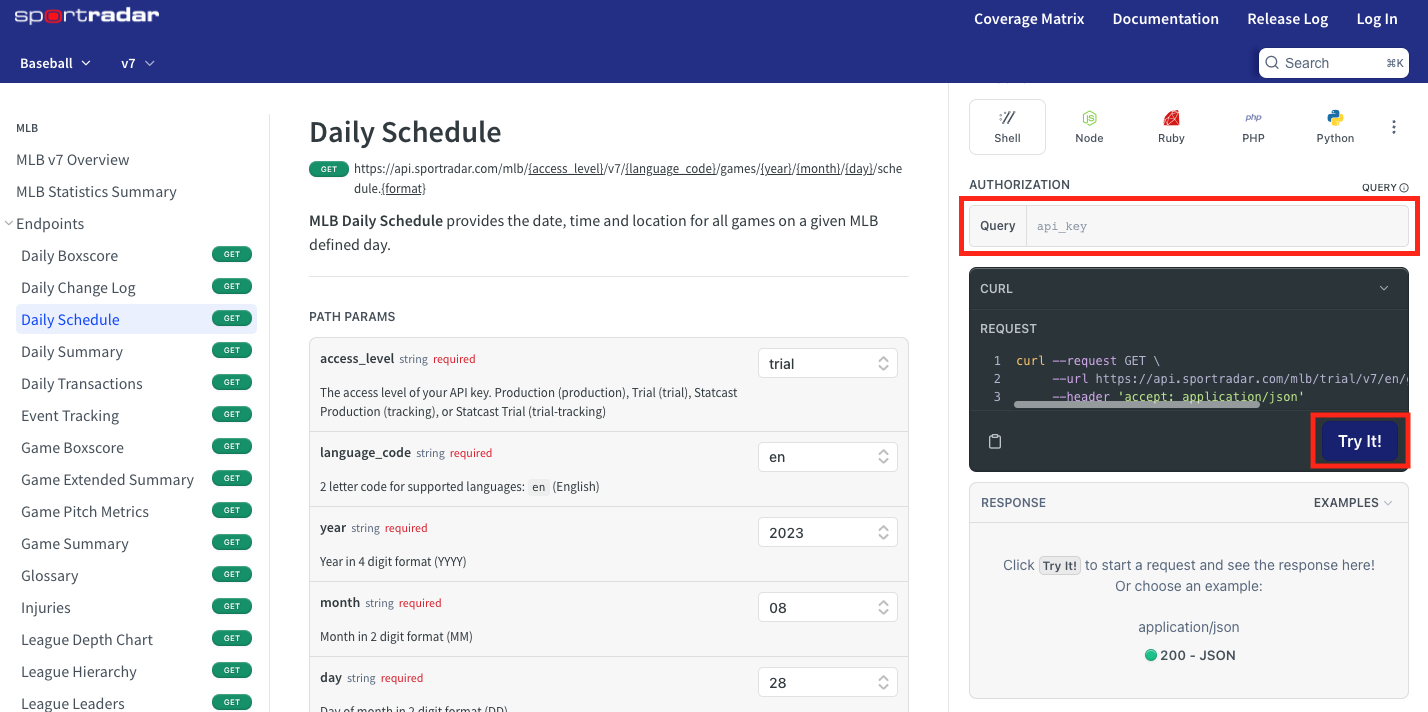 Paste your copied API key into the **Query** field and click **Try It!**