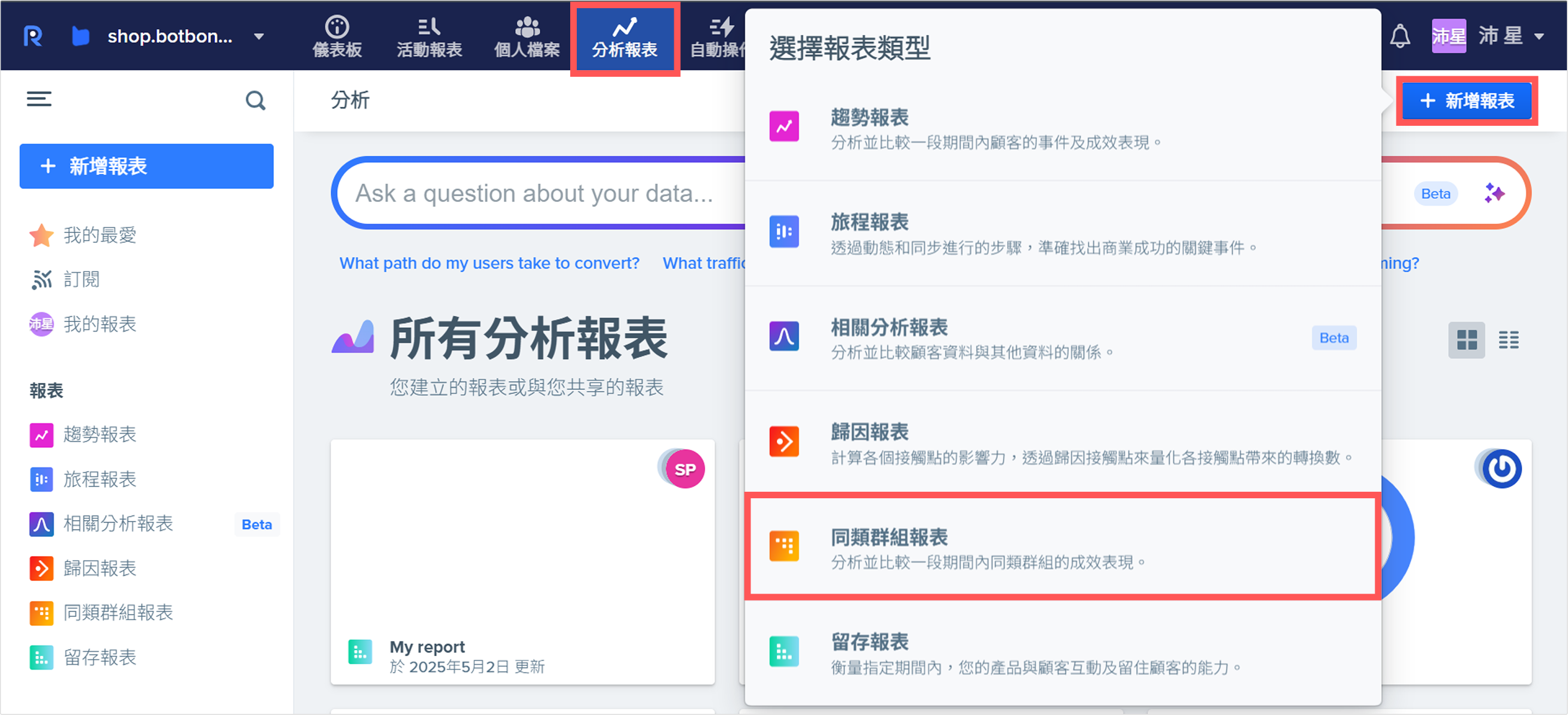 同類群組報表