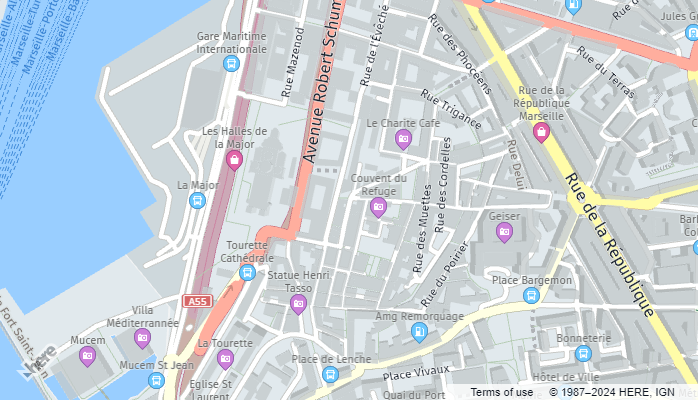 The vector map type in the Maps API for JavaScript