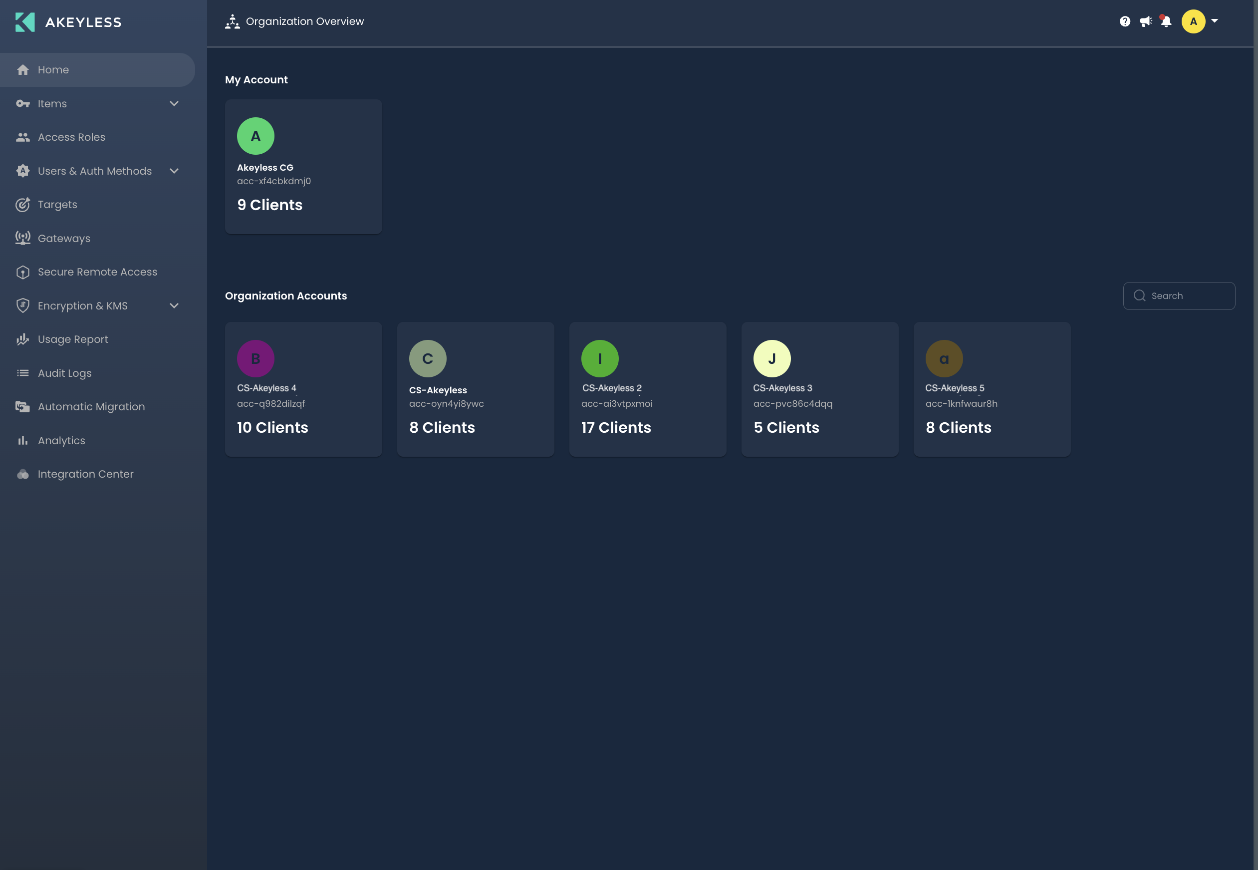 View of the Akeyless Organizational View of multiple accounts