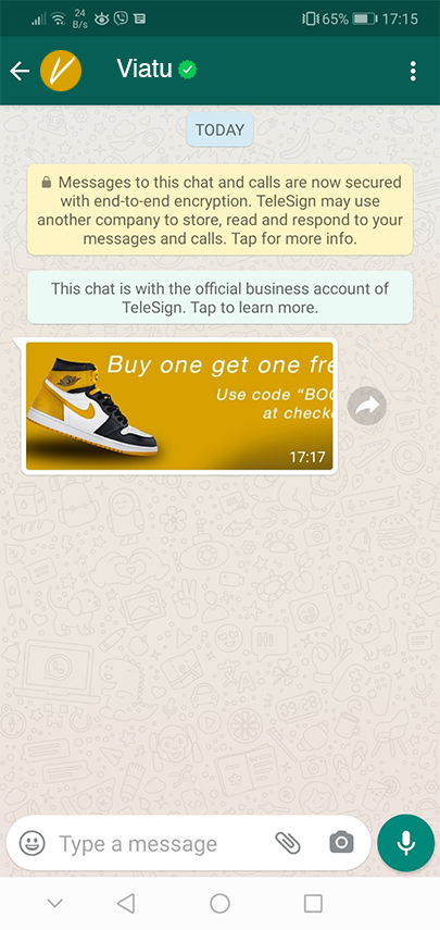 A screenshot of a message received by an end user if the send in WhatsApp format is successful.