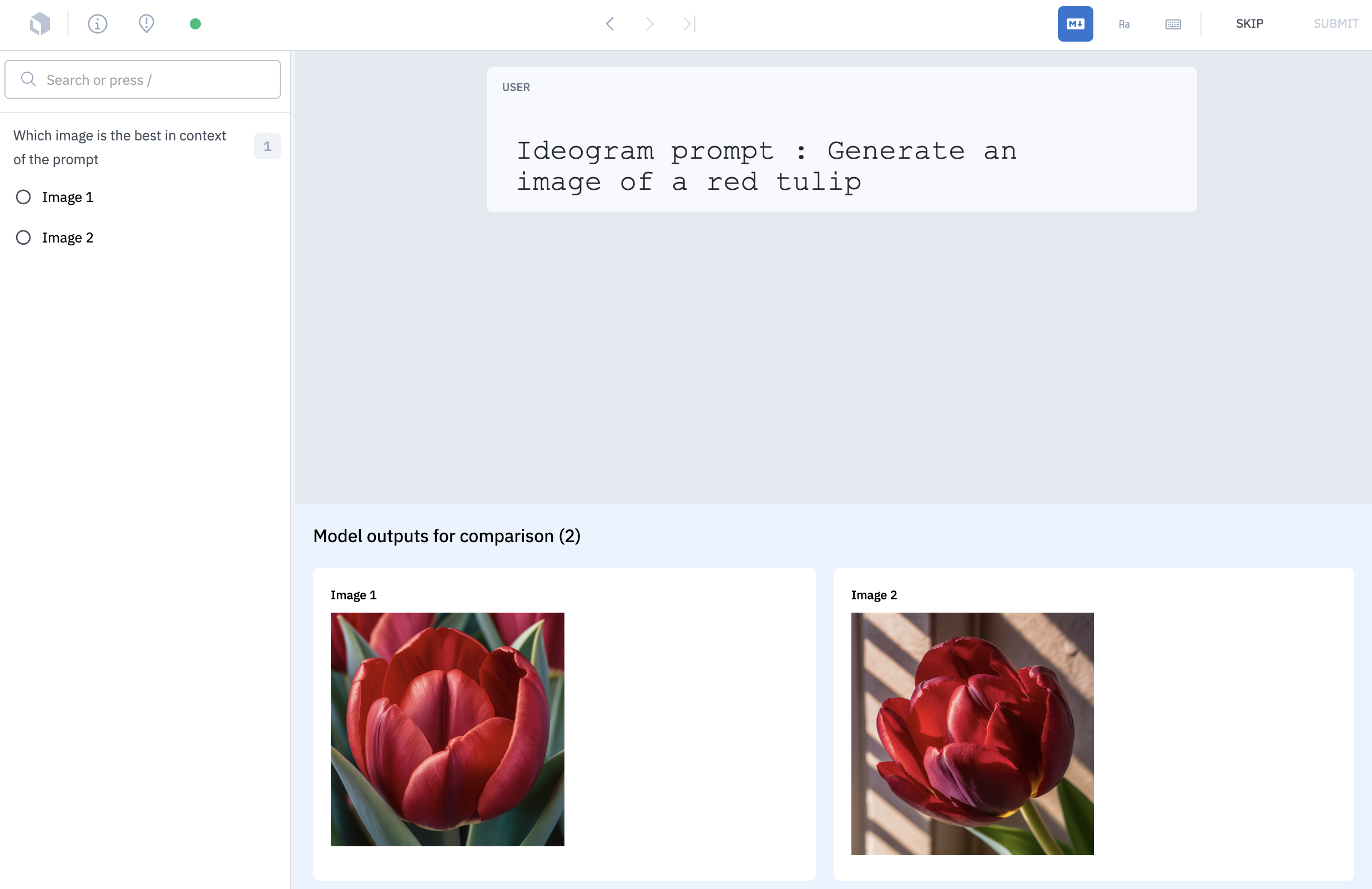 An example screenshot of how the markdown editor renders images