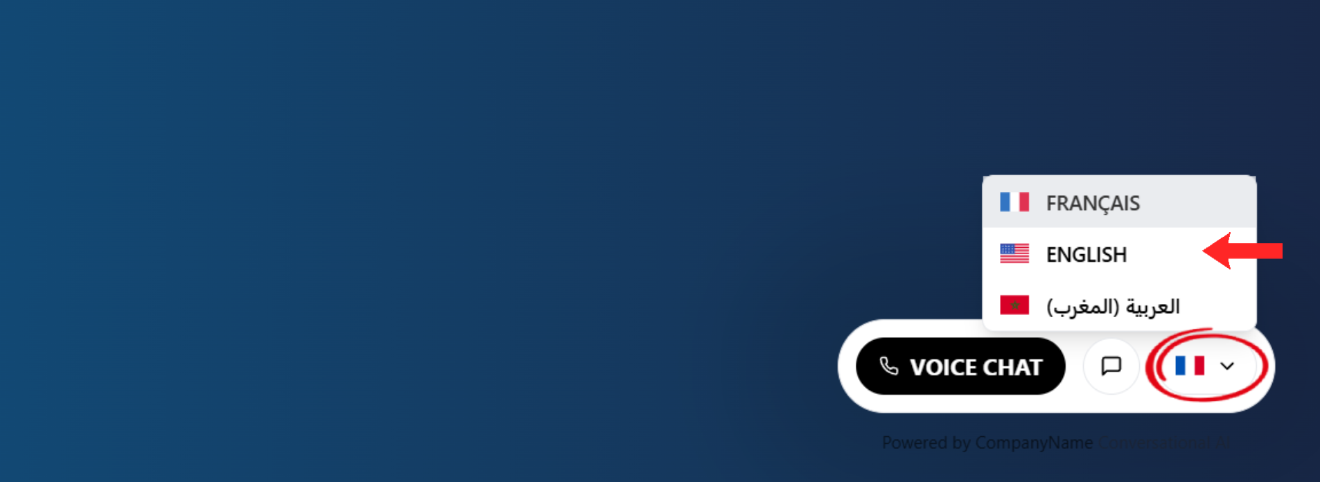 Voice Chat language selector